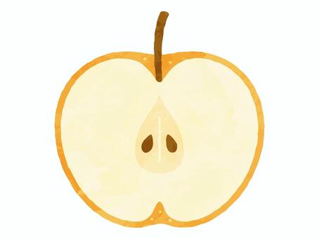 半分に切った和梨_水彩風 梨,和梨,果物,食べ物,断面,半分,カット,秋,水彩風,かわいいのイラスト素材