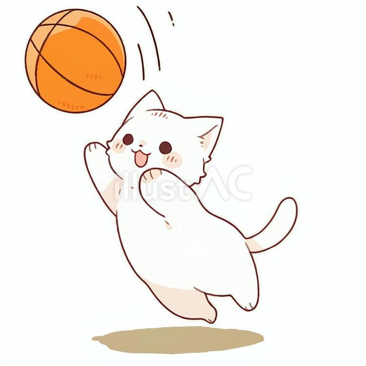 RIPNDIP バスケットボールパンツ 青黒模様 猫イラスト 2025年最新】RIPNDIP バスケットボールの人気アイテム - メルカリ