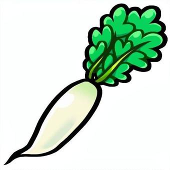ポップでかわいい大根（だいこん） だいこん,ダイコン,大根,野菜,食品,食べ物,イラスト,手描き風,ポップ,かわいいのイラスト素材