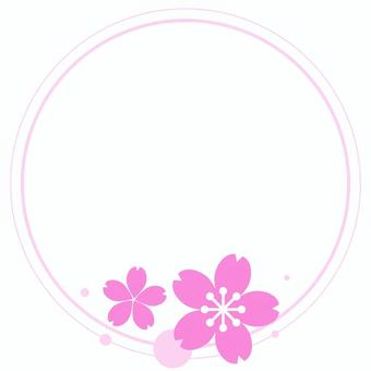 Sakura circle frame, cherry blossoms, frame, decoration, JPG and PNG