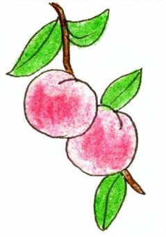 手描きの桃イラスト 果物,フルーツ,桃,葉,手描き,色鉛筆画のイラスト素材