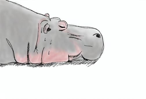暑い日のかば 暑い日のかば かば,動物,イラストのイラスト素材