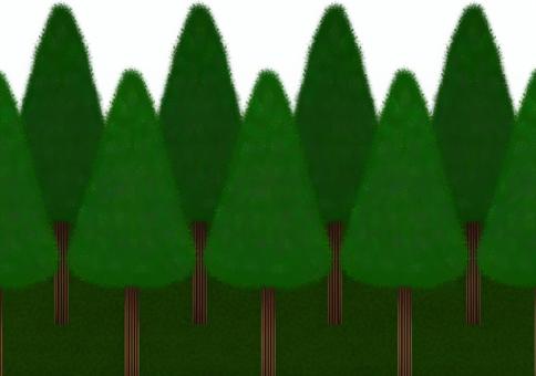 森林・森・杉の木の自然の風景 森林・森・杉の木の自然の風景 自然,森林,森,木,緑,風景,杉のイラスト素材