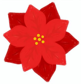 クリスマス素材ポインセチア　手書き風 クリスマス,ポインセチア,手書き,単体,1つ,1輪,christmas,xmas,花,植物のイラスト素材
