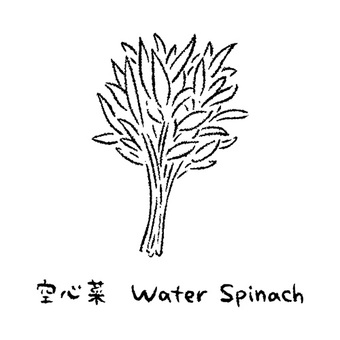 手描きの空心菜2_名称入_白黒 空心菜,野菜,アイコン,食べ物,シンプル,食材,健康,料理,農業,自然のイラスト素材