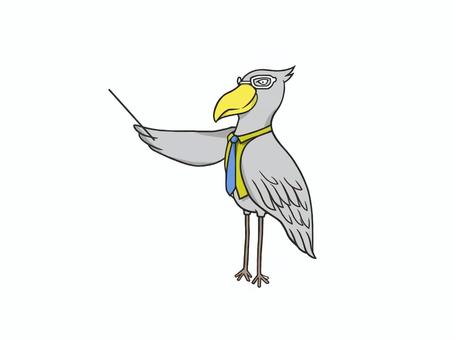 講義や授業で教える鳥のハシビロコウ ハシビロコウ,鳥,羽,くちばし,翼,バード,野鳥,生き物,鳥類,絶滅危惧種のイラスト素材