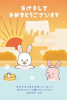 Illustration, rabbit, new year's card, 2023 years, 