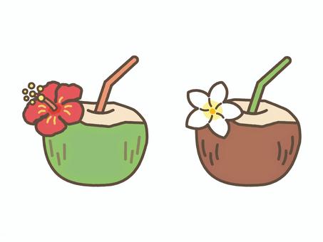Illustration, coconut, coconut juice, coconut water, 