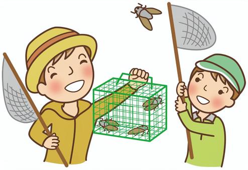 親子で虫取りをしている 虫取り,男の子,虫かご,蝉,虫取り網のイラスト素材