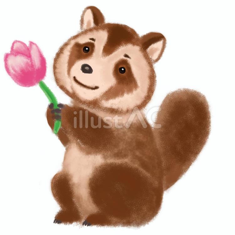 たぬきとお花 たぬき,動物,生き物のイラスト素材