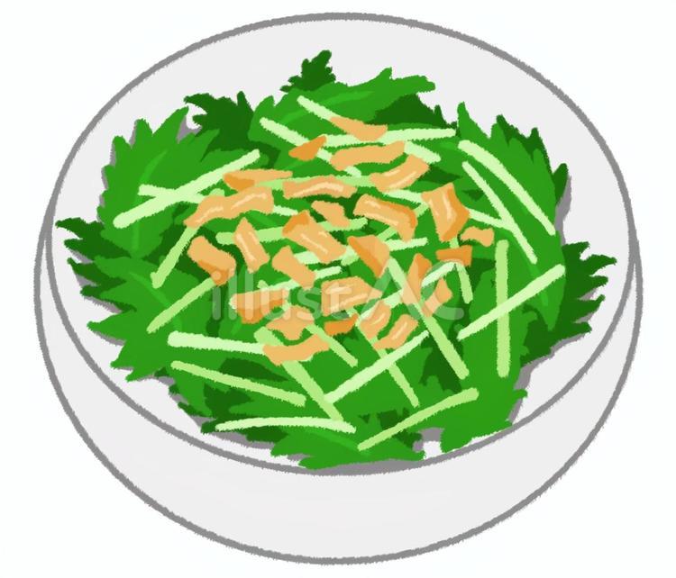 食器入りかつおぶしが乗った水菜のサラダ 水菜,サラダ,野菜のイラスト素材