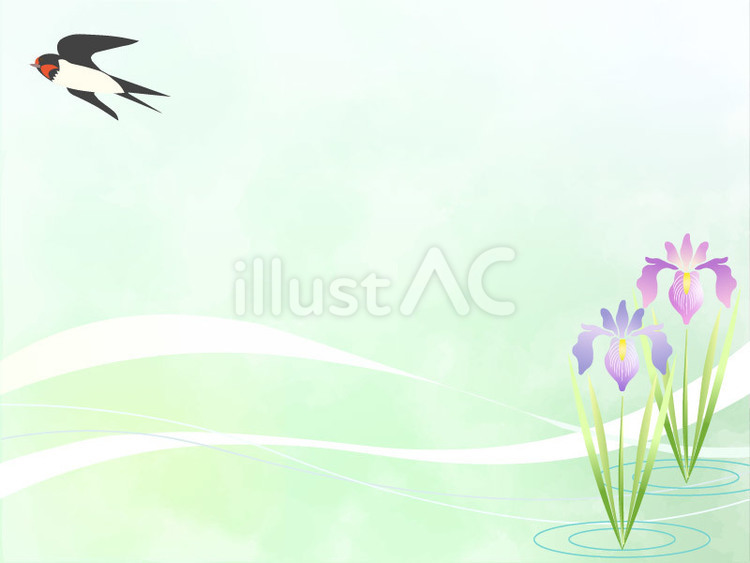 菖蒲の池の背景3 菖蒲,gw,つばめのイラスト素材