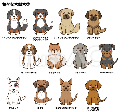 色々な大型犬⑦