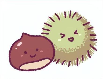 クリとイガの手描きイラスト クリとイガの手描きイラスト 栗,イガグリ,植物,手描き,かわいい,ゆるい,イラストのイラスト素材