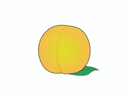モモ（黄桃） モモ,黄桃,黄色,果物,バラ科のイラスト素材