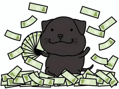 黒ラブラドールさん ばら撒き ラブラドール,ラブラドールレトリバー,黒,札,ばら撒き,羽振りがいい,ボーナス,犬,動物,キャラクターのイラスト素材
