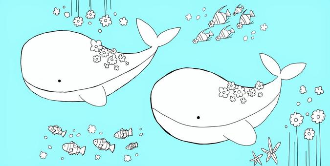 Illustration, a whale, flower, sea, JPG