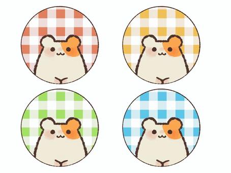 丸から覗くハムスター ハムスター,動物,ペット,小動物,snsアイコン,色差分,ギンガムチェック,ゴールデンハムスターのイラスト素材