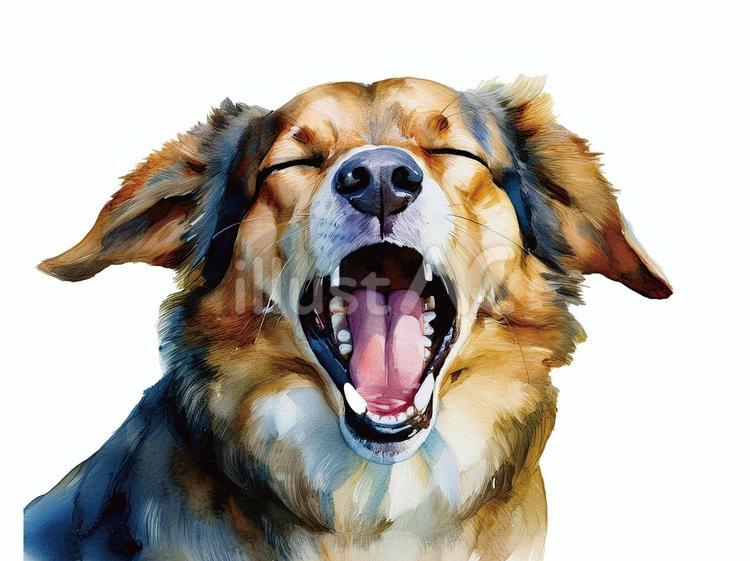 口を大きく開ける犬 犬,動物,口のイラスト素材