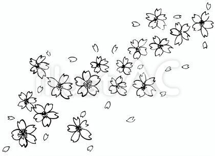 桜 手書きイラスト