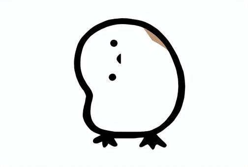 Illustration, shimaenaga, bird, birdie, 