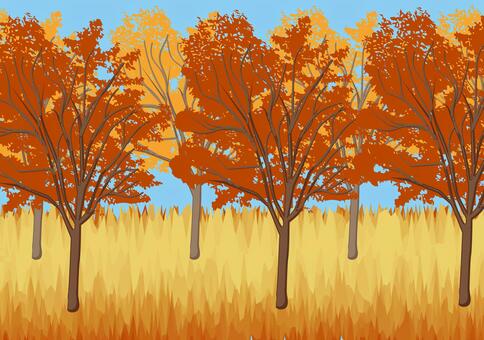 秋の紅葉　 秋,紅葉,森林,雑木林,樹木,枝,葉,雑草,植物,自然のイラスト素材