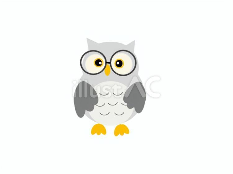ふくろう② ふくろう,かわいい,フクロウのイラスト素材
