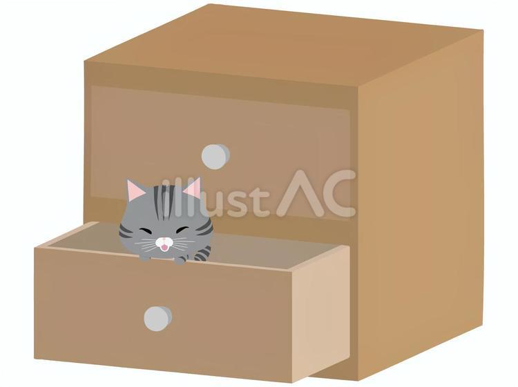 引き出し_猫 引き出し,猫,さばとらのイラスト素材