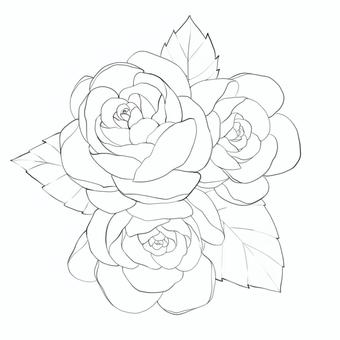 【塗り絵】薔薇 薔薇,花,線画,シンプル,塗り絵,綺麗,ワンポイントのイラスト素材