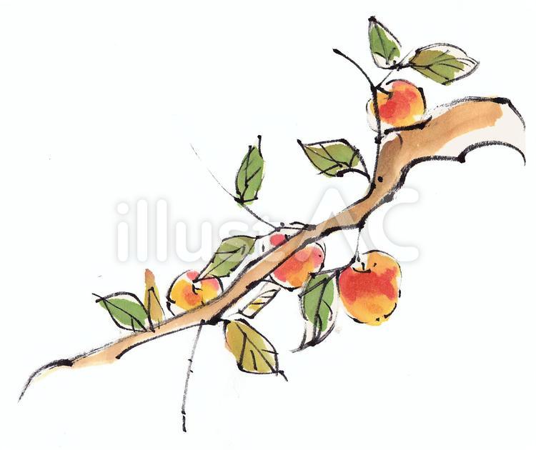 りんごの樹《手描き素材》 リンゴ,りんご,林檎のイラスト素材
