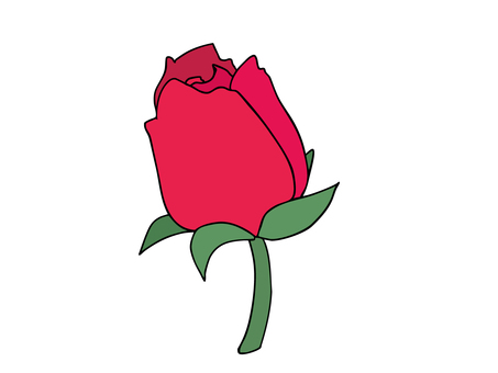 赤薔薇 つぼみ 薔薇,花,植物,葉,赤,つぼみ,主線あり,イラスト素材,広告,チラシのイラスト素材