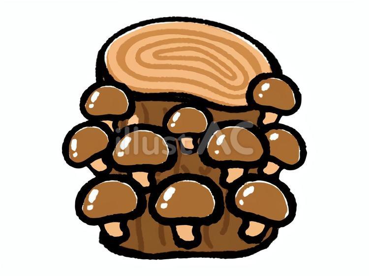 椎茸の原木栽培のイラスト素材 椎茸,原木,栽培のイラスト素材