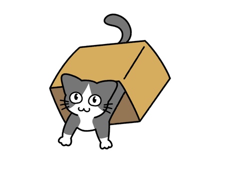 ダンボール箱に飛び込むネコ～靴下猫～ 猫,ダンボール,箱,中,入る,飛び込む,くぐる,はしゃぐ,空き箱,遊ぶのイラスト素材