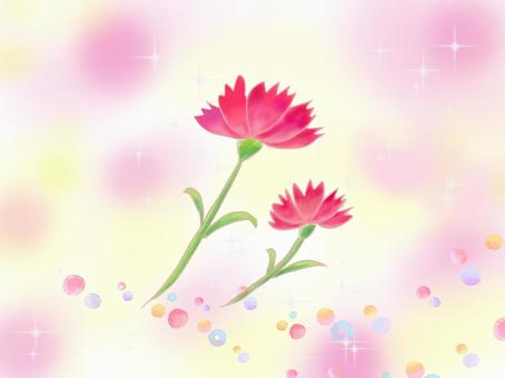 Illustration, mother's day, carnation, background, 