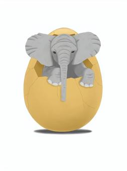 From the egg ..., JPG From the egg ..., like, egg, baby, JPG