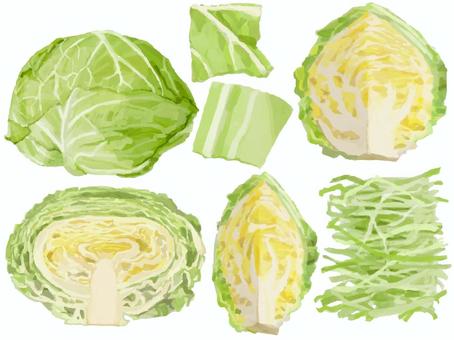 リアルすぎないキャベツセット 食べ物,野菜,キャベツ,半分,断面,一玉,くし切り,4分の１,2分の１,ザク切りのイラスト素材