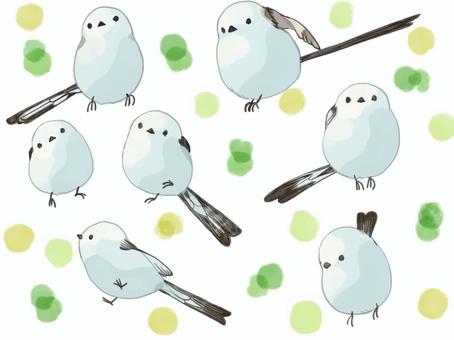 緑とシマエナガ 緑とシマエナガ 野鳥,シマエナガ,鳥のイラスト素材