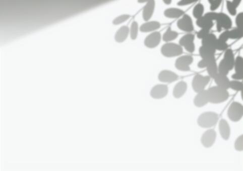 シンプルな植物の影、シルエット 葉っぱ,影,白背景,シルエット,モノクロ,白黒,植物,爽やか,清潔感,シンプルのイラスト素材