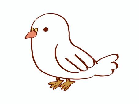 ギンバト