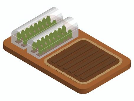 ビニールハウスと畑 畑,農業,農作物,ビニールハウス,育てる,土,野菜,収穫,農家,アイソメトリックのイラスト素材
