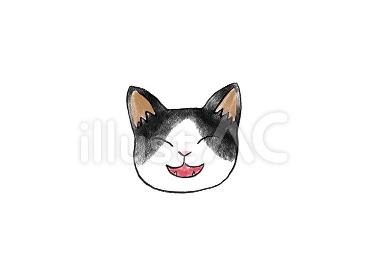笑顔の猫　4　ハチワレ 猫,笑顔,スマイルのイラスト素材
