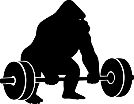 デッドリフト ゴリラ ゴリラ,gorilla,デッドリフト,バーベル,筋トレ,動物,ジムのイラスト素材