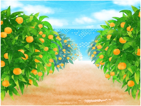 みかん畑 みかん畑,みかん,みかん狩り,農園,海,風景,背景,景色のイラスト素材