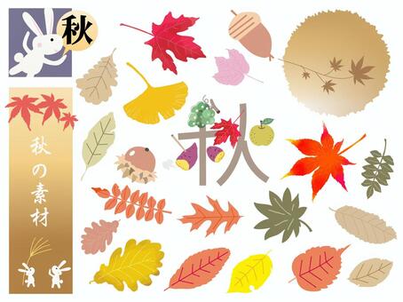 秋の素材31＿秋のセット 秋,紅葉,モミジ,葉っぱ,ドングリ,ウサギ,イチョウ,素材,イラスト,落ち葉のイラスト素材