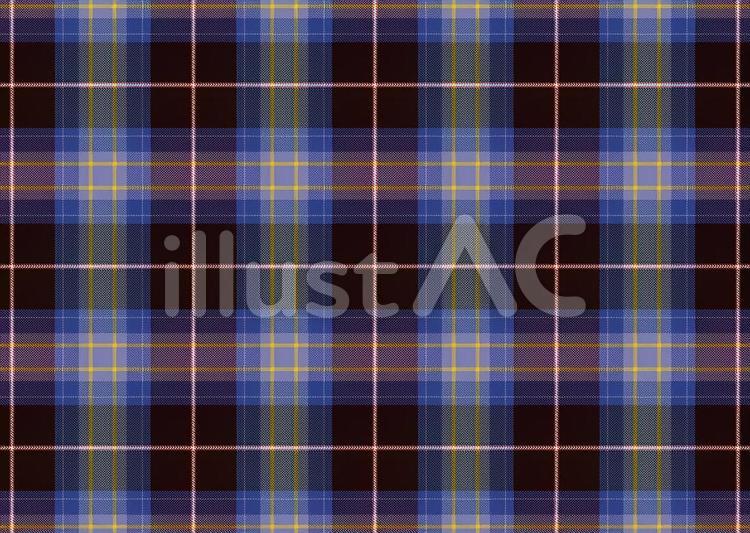 WRENS british,tartan,traditionalのイラスト素材