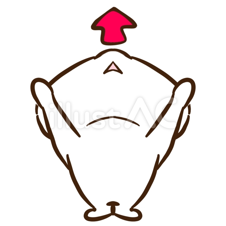 矢印くま、上向き 動物,くま,矢印のイラスト素材