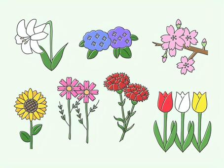 花セット 花,はな,フラワー,flower,植物,セット,詰め合わせのイラスト素材