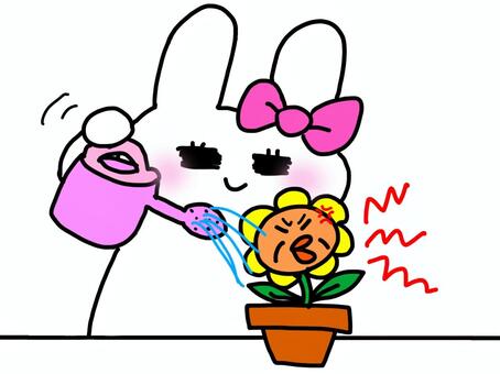イヤミおばさんフラワーに水をやるうさぎ うさぎ,白うさぎ,かわいい,リボン,癒し,動物,小動物,植物,お花,フラワーのイラスト素材