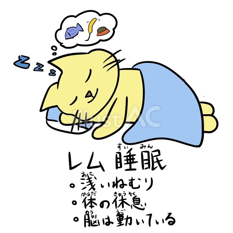 レム睡眠な夢見る猫　ルビ付き レム睡眠,浅い眠り,睡眠のイラスト素材