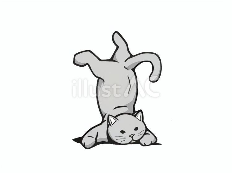 勢いあまって転んでしまった猫(ねこ) 猫,動物,転がるのイラスト素材